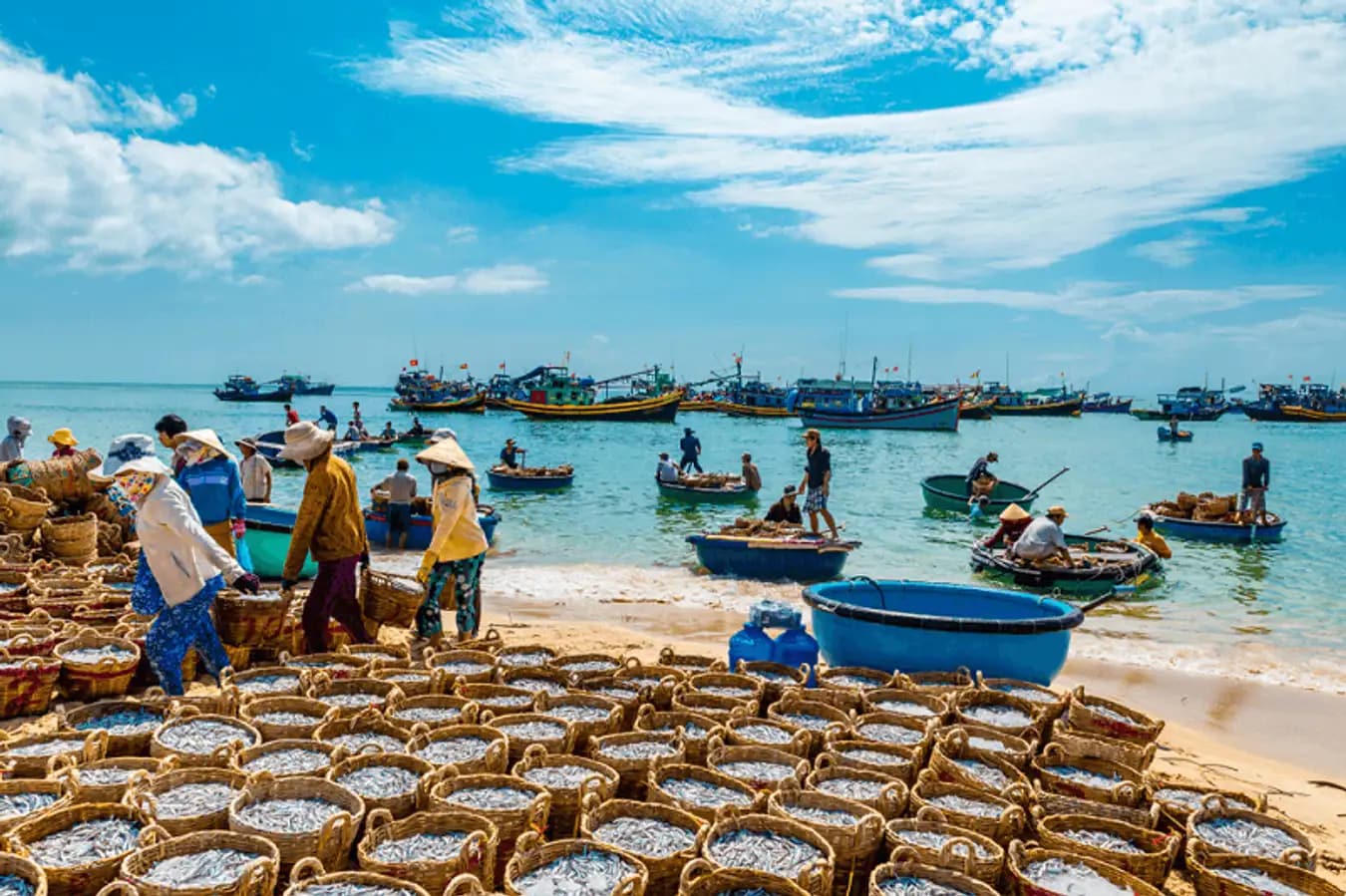 Chợ làng chài Mũi Né rộn ràng lúc bình minh - nơi biển khơi gặp mặt đất liền trong khoảnh khắc tươi mới nhất của ngày